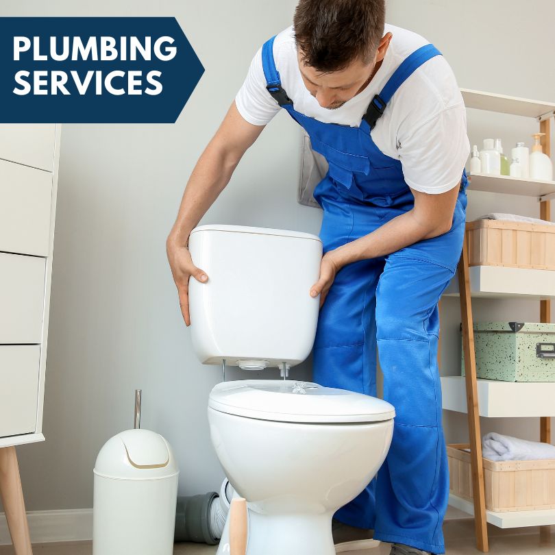 Plumbing Company in Longview, IL